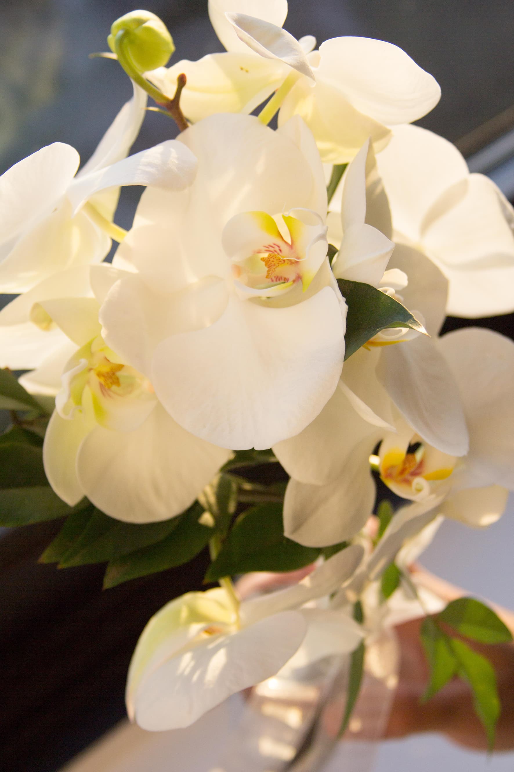 Momentos de amor eterno