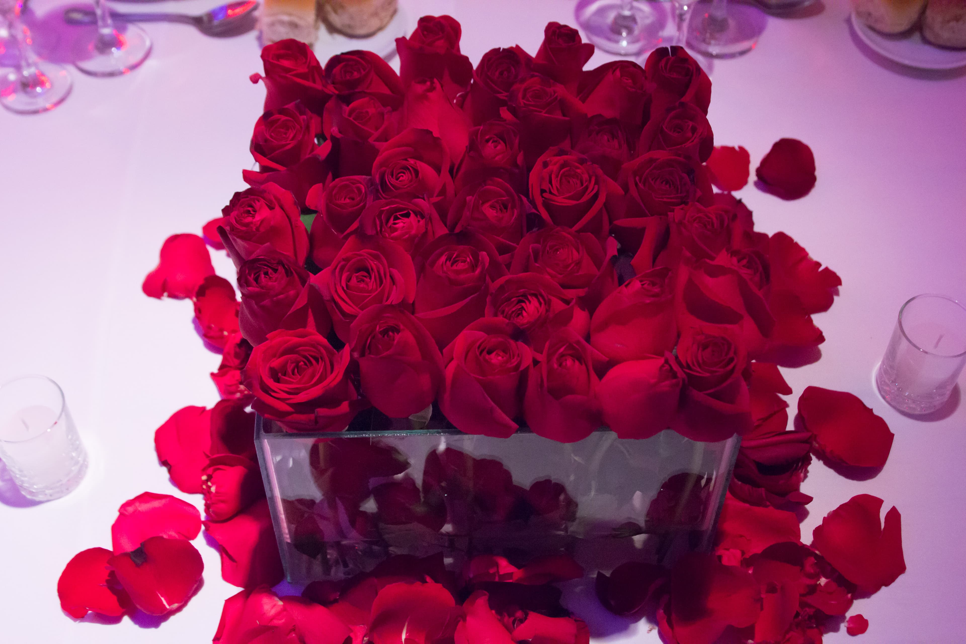 Momentos de amor eterno