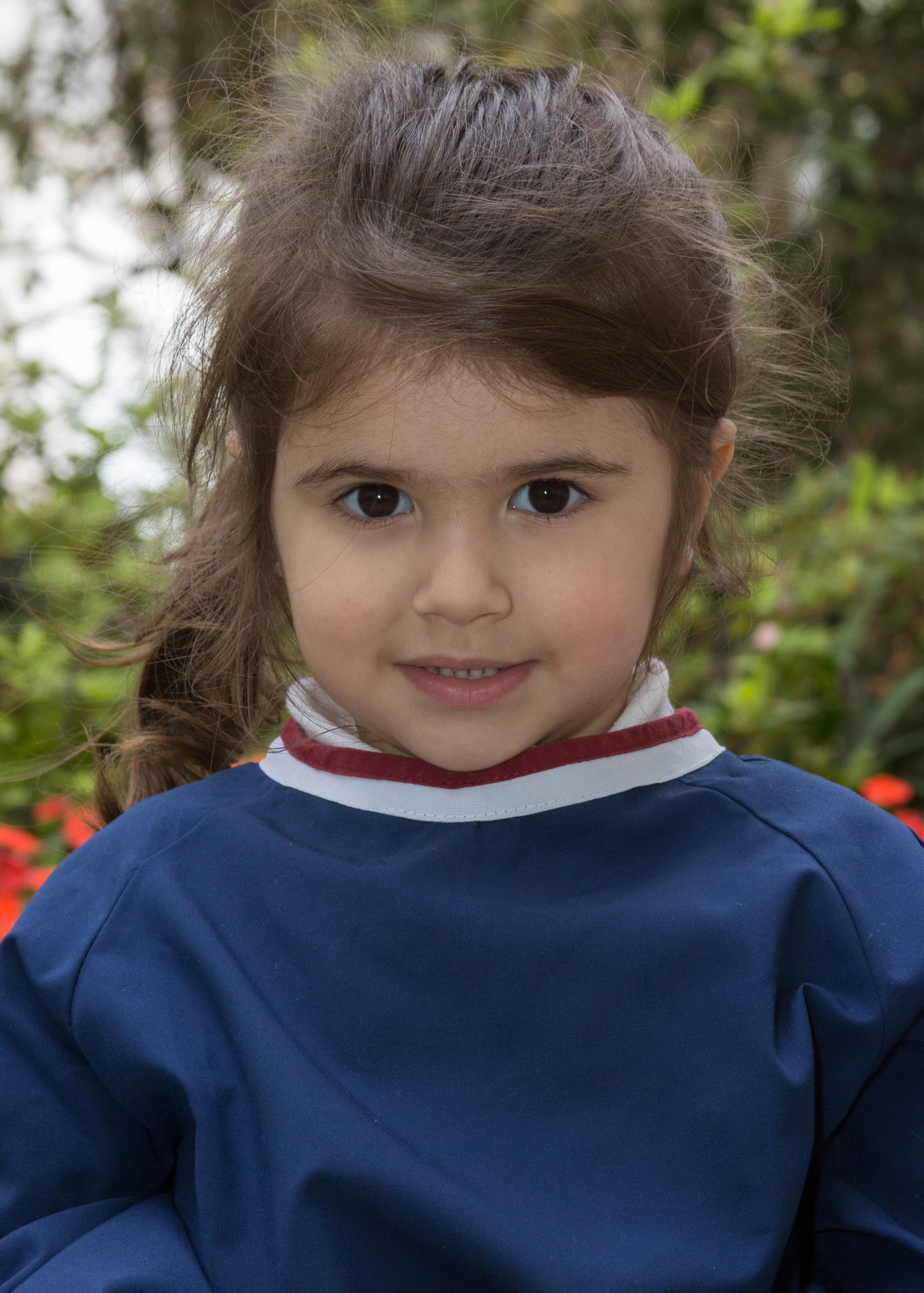 Memorias del crecimiento