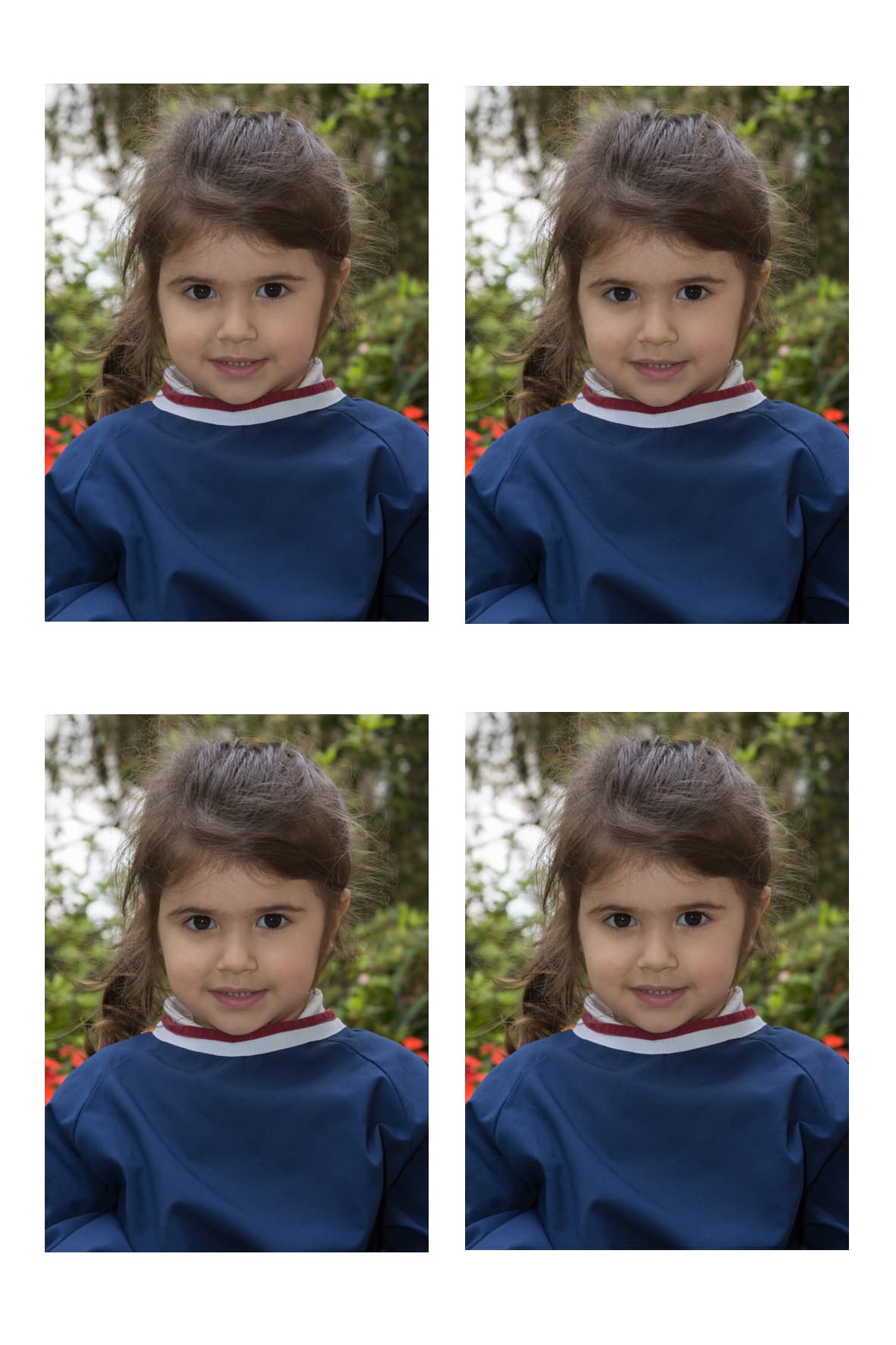 Memorias del crecimiento