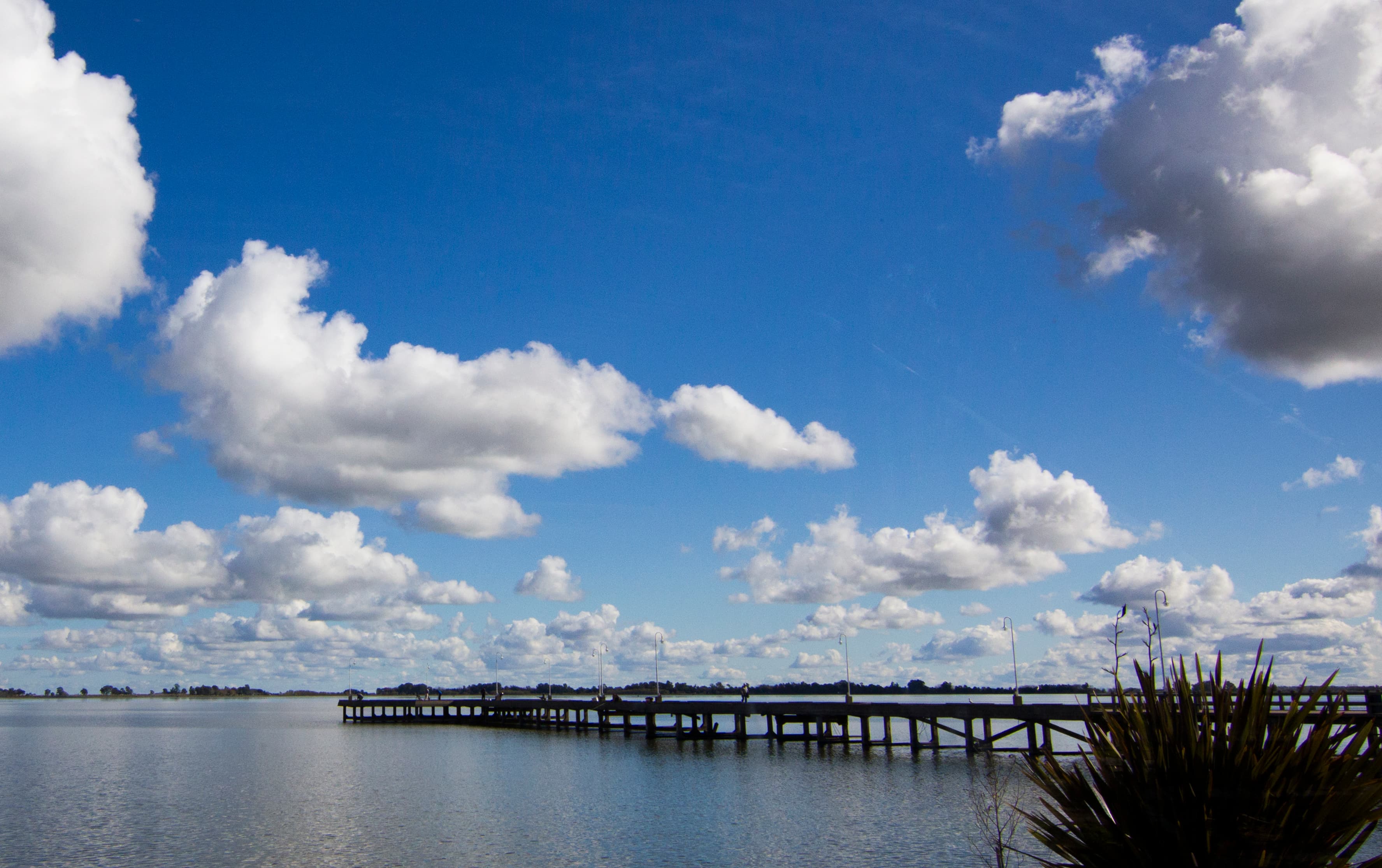 Belleza natural pura