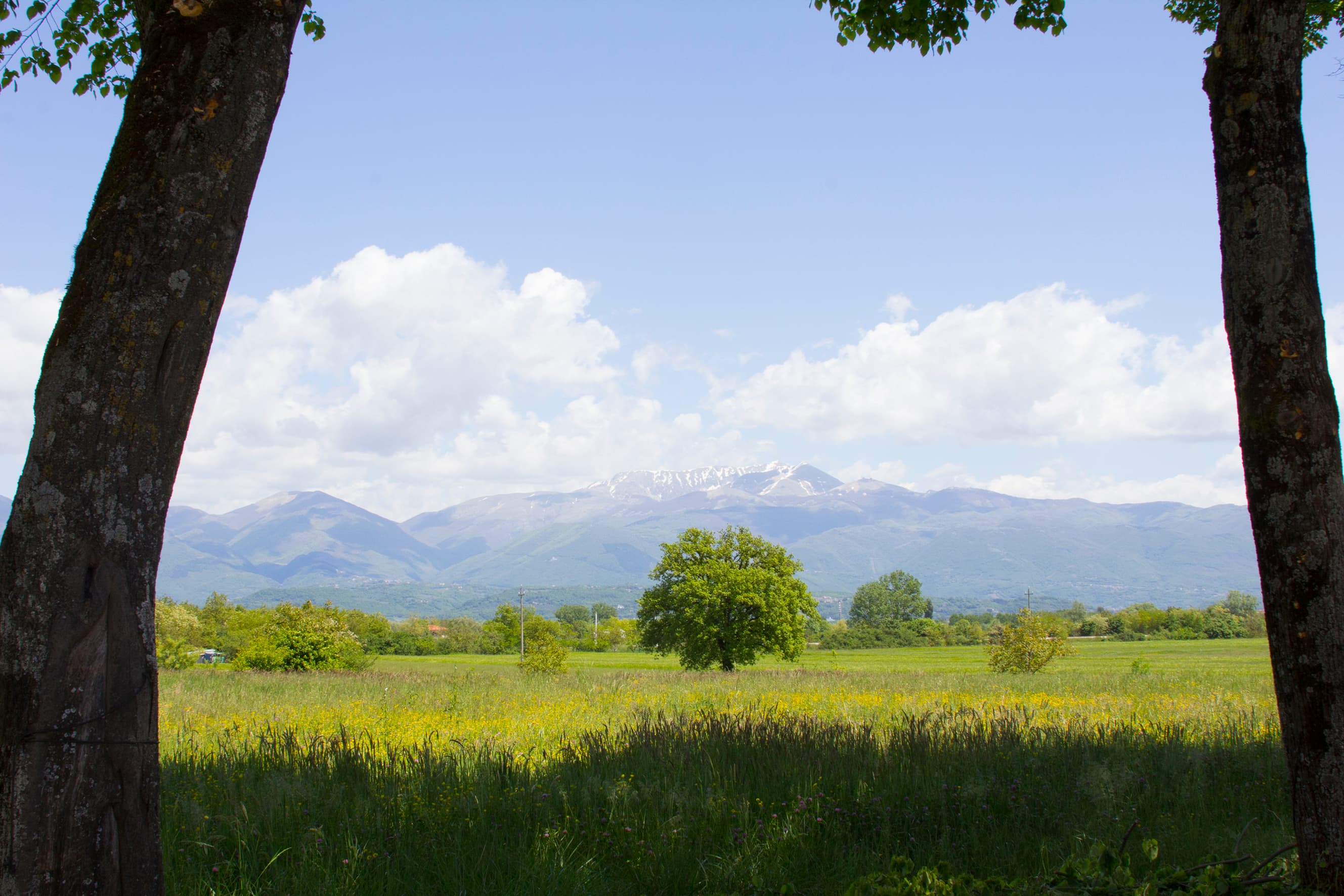 Belleza natural pura